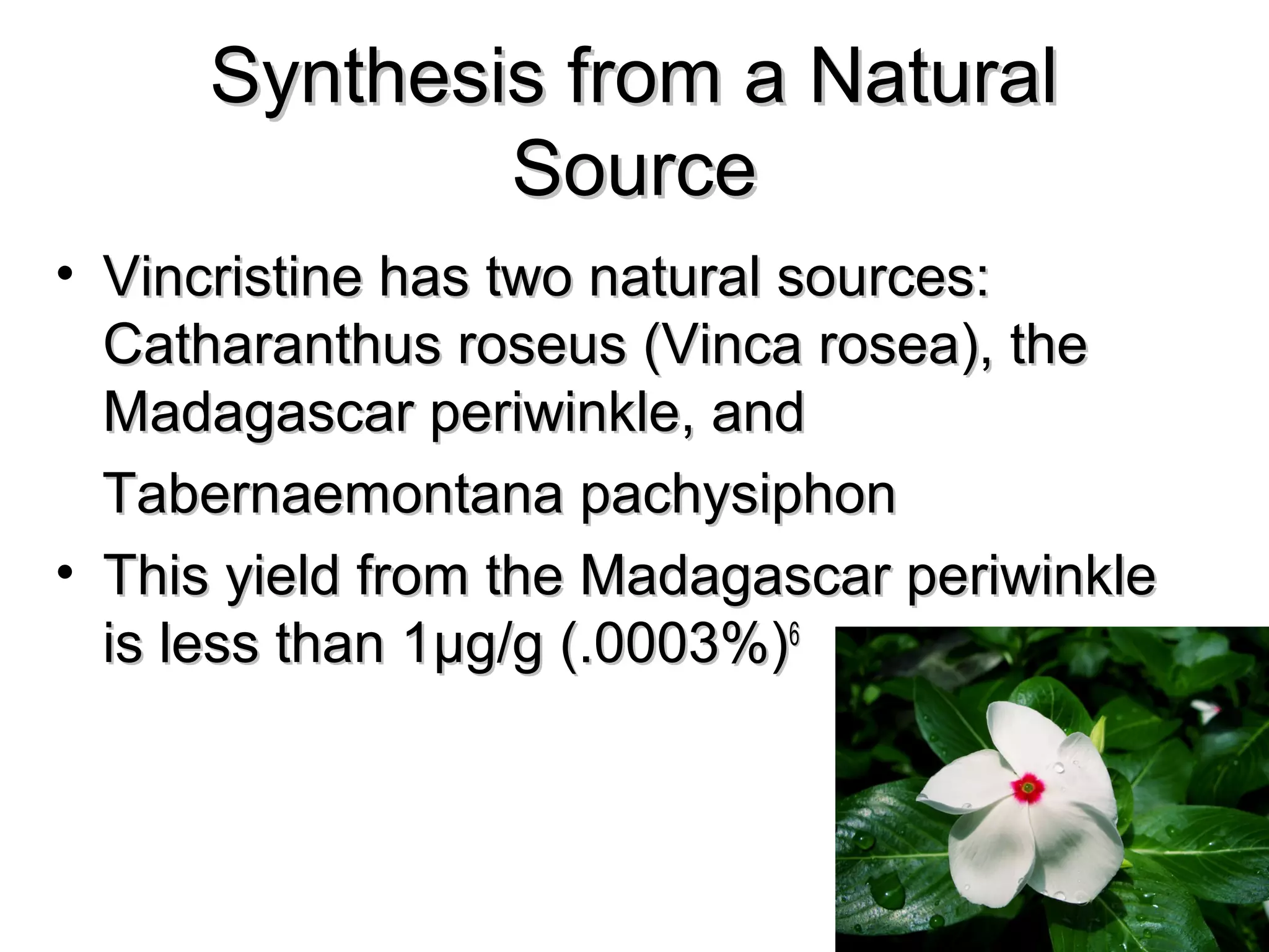 Synthesis from a NaturalSynthesis from a Natural
SourceSource
• Vincristine has two natural sources:Vincristine has two natural sources:
Catharanthus roseus (Vinca rosea), theCatharanthus roseus (Vinca rosea), the
Madagascar periwinkle, andMadagascar periwinkle, and
Tabernaemontana pachysiphonTabernaemontana pachysiphon
• This yield from the Madagascar periwinkleThis yield from the Madagascar periwinkle
is less than 1is less than 1μμg/g (.0003%)g/g (.0003%)66
 
