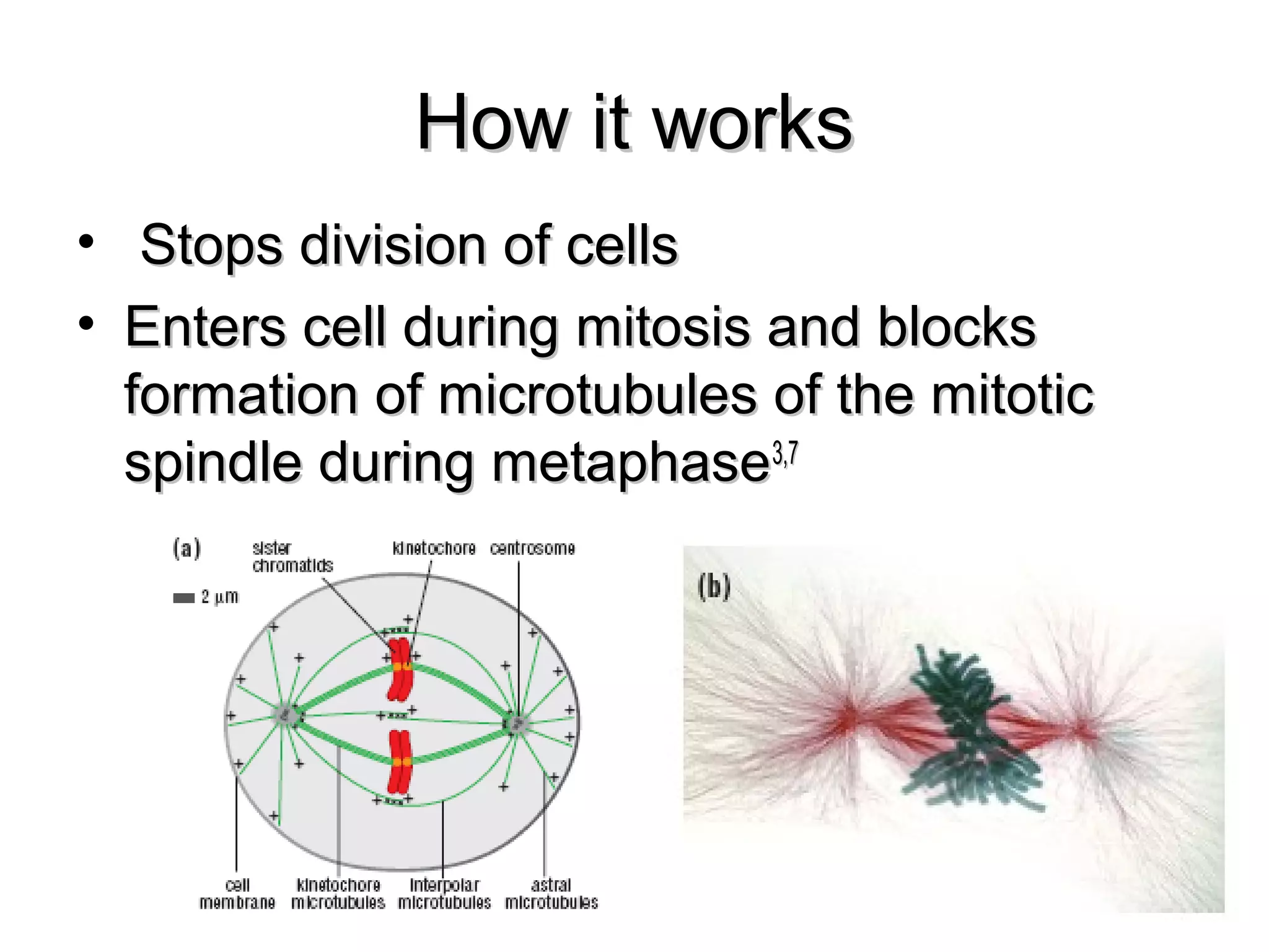 How it worksHow it works
• Stops division of cellsStops division of cells
• Enters cell during mitosis and blocksEnters cell during mitosis and blocks
formation of microtubules of the mitoticformation of microtubules of the mitotic
spindle during metaphasespindle during metaphase3,73,7
 