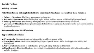 Protein Folding
Folding Process:
After translation, polypeptides fold into specific 3D structures essential for their function.
• Primary Structure: The linear sequence of amino acids.
• Secondary Structure: Local folding into alpha helices and beta sheets, stabilized by hydrogen bonds.
• Tertiary Structure: The overall 3D shape formed by the interaction of secondary structures.
• Quaternary Structure: Some proteins consist of multiple polypeptide chains (subunits) that assemble into a
functional complex.
Post-Translational Modifications
Types of Modifications:
1. Proteolysis: Cleavage of proteins into smaller peptides or amino acids.
2. Phosphorylation: Addition of phosphate groups to specific amino acids, altering protein activity and
interactions.
3. Glycosylation: Addition of carbohydrate groups, affecting stability and function.
4. Significance: These modifications can regulate protein activity, localization, and interactions, impacting
cellular function .
 