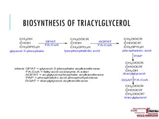biosynthesis and degradation in easy way.pptx