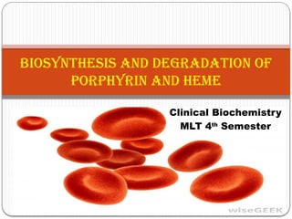 Biosynthesis and Degradation of Porphyrin and Heme.pptx