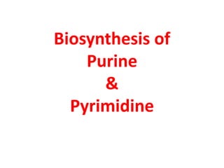 Biosynthesis of
Purine
&
Pyrimidine
 
