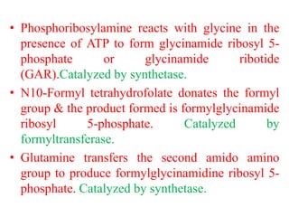 Formylglycinamide Ribotide biosynthesisof-190408140232.pdf