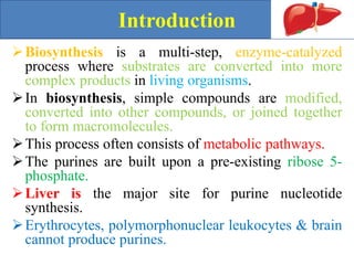 Biosynthesis of purine & pyrimidine 