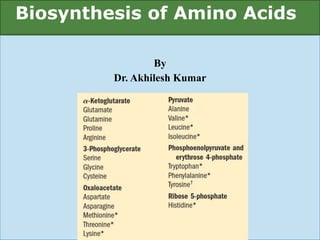 By
Dr. Akhilesh Kumar
Biosynthesis of Amino Acids
 