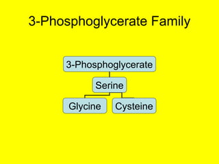 Biosynthesis of amino_acids | PPT