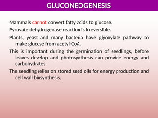 Comprehensive Overview of Gluconeogenesis and Glucose Metabolism | PPTX