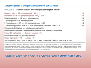 Comprehensive Overview of Gluconeogenesis and Glucose Metabolism | PPTX