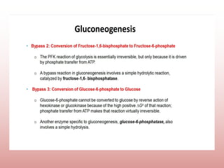 Comprehensive Overview of Gluconeogenesis and Glucose Metabolism | PPTX