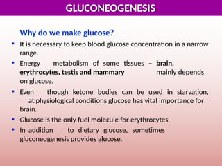 Comprehensive Overview of Gluconeogenesis and Glucose Metabolism | PPTX