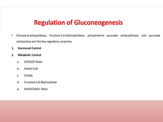 Comprehensive Overview of Gluconeogenesis and Glucose Metabolism | PPTX