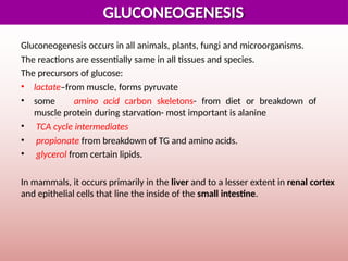 Comprehensive Overview of Gluconeogenesis and Glucose Metabolism | PPTX