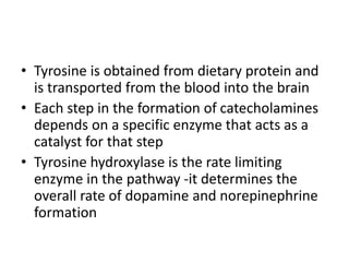 • Tyrosine is obtained from dietary protein and
is transported from the blood into the brain
• Each step in the formation of catecholamines
depends on a specific enzyme that acts as a
catalyst for that step
• Tyrosine hydroxylase is the rate limiting
enzyme in the pathway -it determines the
overall rate of dopamine and norepinephrine
formation
 