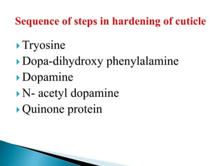  Tryosine
 Dopa-dihydroxy phenylalamine
 Dopamine
 N- acetyl dopamine
 Quinone protein
 