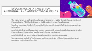 Biosynthesis of ergosterol