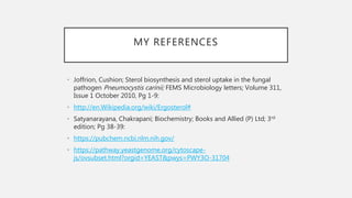 Biosynthesis of ergosterol