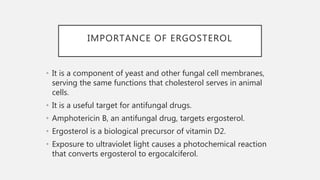 Biosynthesis of ergosterol