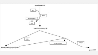 Biosynthesis of ergosterol