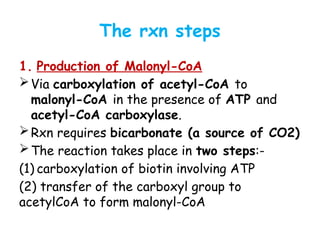 Comprehensive Overview of Fatty Acid Biosynthesis and Regulation in ...