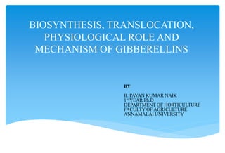 BIOSYNTHESIS, TRANSLOCATION,
PHYSIOLOGICAL ROLE AND
MECHANISM OF GIBBERELLINS
BY
B. PAVAN KUMAR NAIK
1st YEAR Ph.D
DEPARTMENT OF HORTICULTURE
FACULTY OF AGRICULTURE
ANNAMALAI UNIVERSITY
 