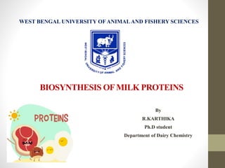 BIOSYNTHESIS OFMILK PROTEINS
By
R.KARTHIKA
Ph.D student
Department of Dairy Chemistry
WEST BENGAL UNIVERSITY OF ANIMALAND FISHERY SCIENCES
 