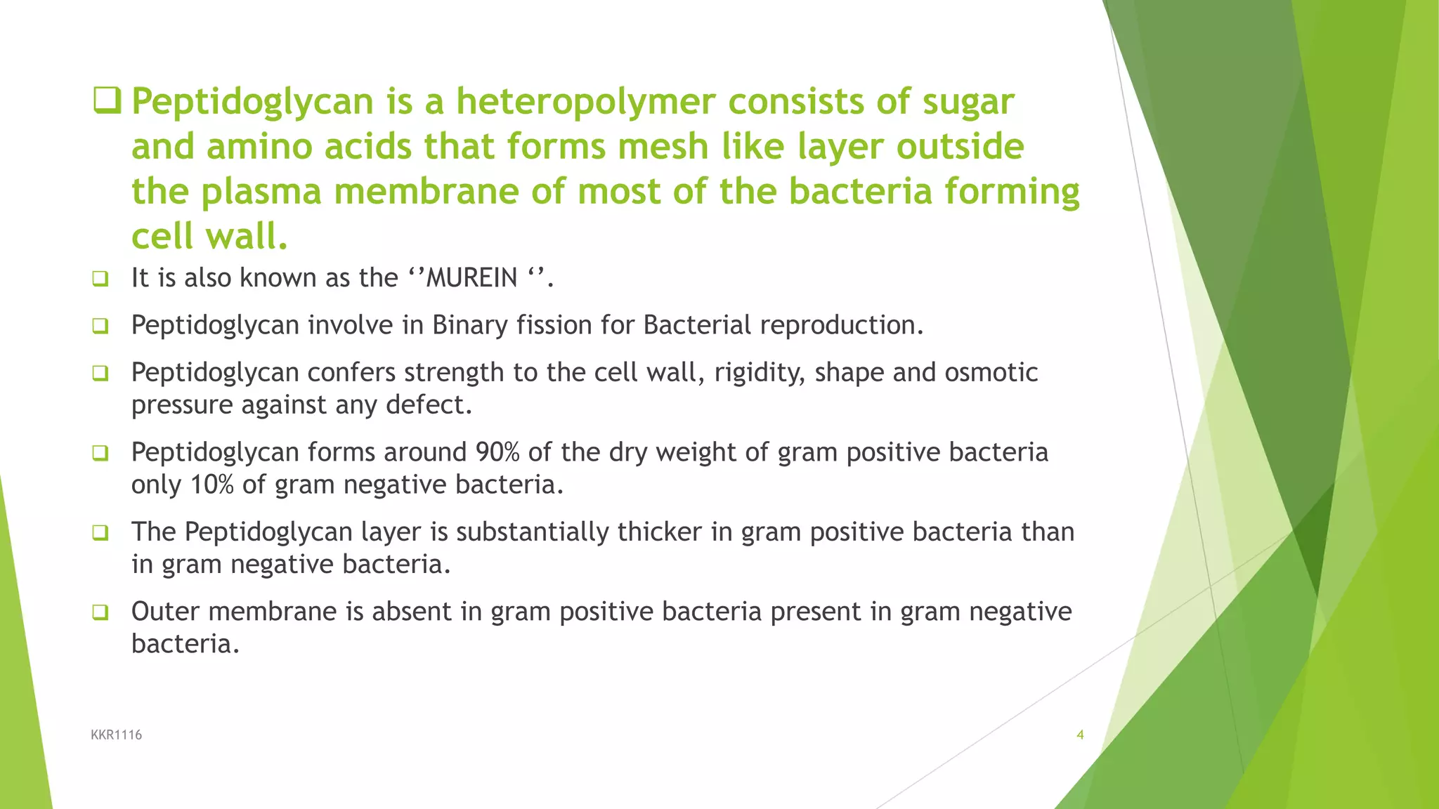  Peptidoglycan is a heteropolymer consists of sugar
and amino acids that forms mesh like layer outside
the plasma membrane of most of the bacteria forming
cell wall.
 It is also known as the ‘’MUREIN ‘’.
 Peptidoglycan involve in Binary fission for Bacterial reproduction.
 Peptidoglycan confers strength to the cell wall, rigidity, shape and osmotic
pressure against any defect.
 Peptidoglycan forms around 90% of the dry weight of gram positive bacteria
only 10% of gram negative bacteria.
 The Peptidoglycan layer is substantially thicker in gram positive bacteria than
in gram negative bacteria.
 Outer membrane is absent in gram positive bacteria present in gram negative
bacteria.
KKR1116 4
 