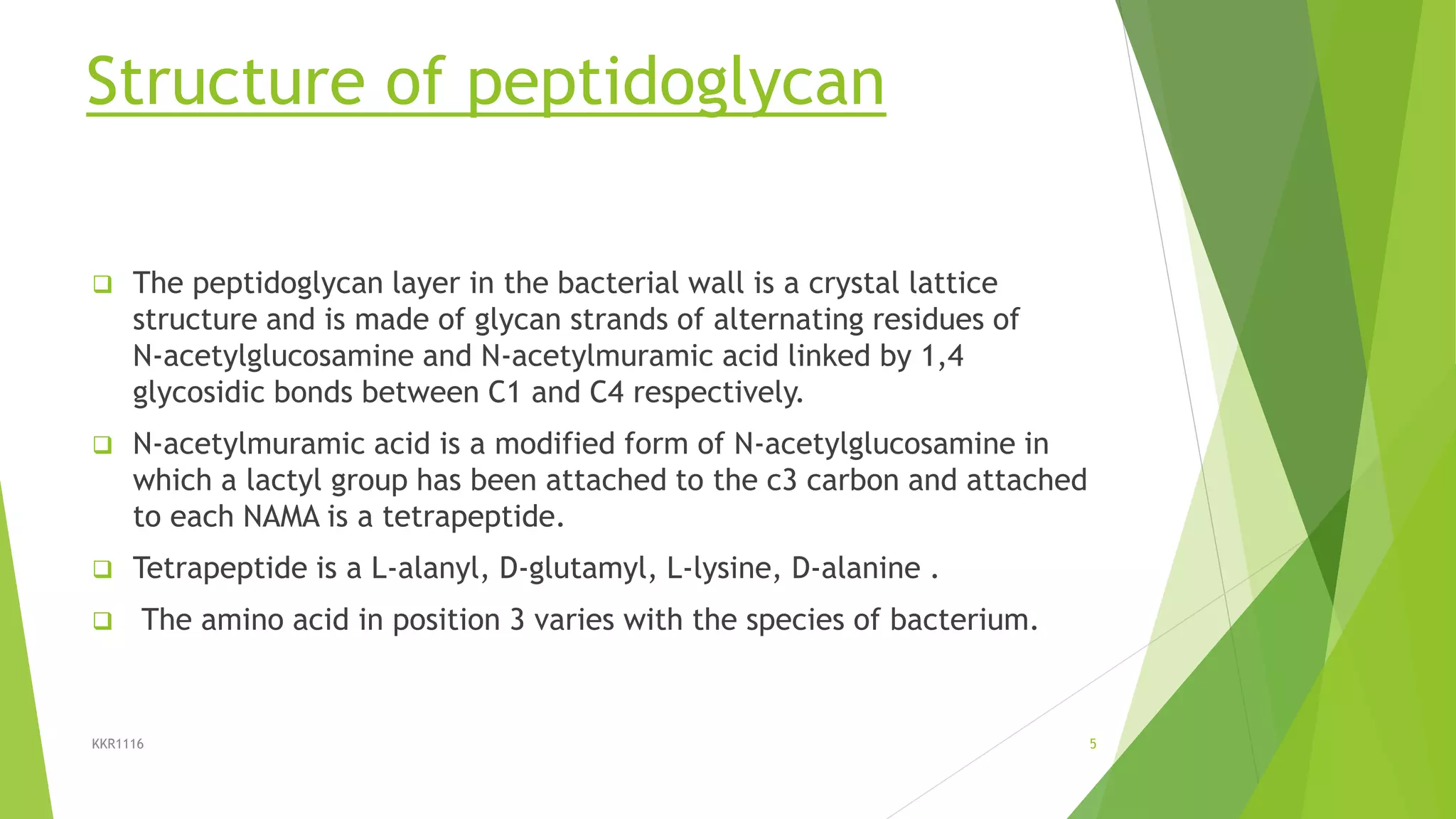 Structure of peptidoglycan
 The peptidoglycan layer in the bacterial wall is a crystal lattice
structure and is made of glycan strands of alternating residues of
N-acetylglucosamine and N-acetylmuramic acid linked by 1,4
glycosidic bonds between C1 and C4 respectively.
 N-acetylmuramic acid is a modified form of N-acetylglucosamine in
which a lactyl group has been attached to the c3 carbon and attached
to each NAMA is a tetrapeptide.
 Tetrapeptide is a L-alanyl, D-glutamyl, L-lysine, D-alanine .
 The amino acid in position 3 varies with the species of bacterium.
KKR1116 5
 