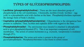 BIOSYNTHESIS OF PHOSPHOLIPIDS and STEROLS 1.pptx