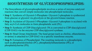 BIOSYNTHESIS OF PHOSPHOLIPIDS and STEROLS 1.pptx
