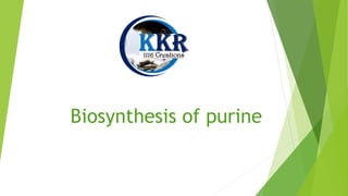 Biosynthesis of purine
 