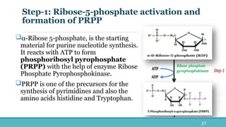 Nucleic Acid Biosynthesis and Catabolism Pathways | PPTX