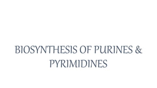 BIOSYNTHESIS OF PURINES &
PYRIMIDINES
 