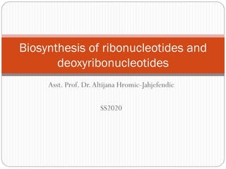 Asst. Prof. Dr.Altijana Hromic-Jahjefendic
SS2020
Biosynthesis of ribonucleotides and
deoxyribonucleotides
 