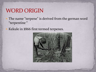  The name "terpene" is derived from the german word
“terpentine “
 Kekule in 1866 first termed terpenes.
 
