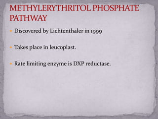  Discovered by Lichtenthaler in 1999
 Takes place in leucoplast.
 Rate limiting enzyme is DXP reductase.
 