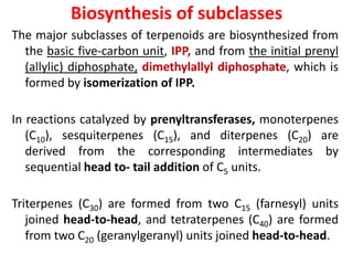 Biosynthesis of subclasses
The major subclasses of terpenoids are biosynthesized from
the basic five-carbon unit, IPP, and from the initial prenyl
(allylic) diphosphate, dimethylallyl diphosphate, which is
formed by isomerization of IPP.
In reactions catalyzed by prenyltransferases, monoterpenes
(C10), sesquiterpenes (C15), and diterpenes (C20) are
derived from the corresponding intermediates by
sequential head to- tail addition of C5 units.
Triterpenes (C30) are formed from two C15 (farnesyl) units
joined head-to-head, and tetraterpenes (C40) are formed
from two C20 (geranylgeranyl) units joined head-to-head.
 