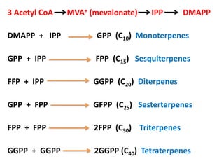 3 Acetyl CoA MVA+ (mevalonate) IPP DMAPP
DMAPP + IPP GPP (C10) Monoterpenes
GPP + IPP FPP (C15) Sesquiterpenes
FFP + IPP GGPP (C20) Diterpenes
GPP + FPP GFPP (C25) Sesterterpenes
FPP + FPP 2FPP (C30) Triterpenes
GGPP + GGPP 2GGPP (C40) Tetraterpenes
 