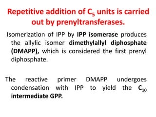 Repetitive addition of C5 units is carried
out by prenyltransferases.
Isomerization of IPP by IPP isomerase produces
the allylic isomer dimethylallyl diphosphate
(DMAPP), which is considered the first prenyl
diphosphate.
The reactive primer DMAPP undergoes
condensation with IPP to yield the C10
intermediate GPP.
 