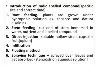 Biosynthesis Pathway And Radio Tracing Technique.pptx