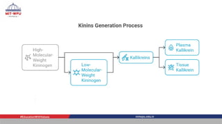 BIOSYNTHESIS, RELEASE AND STORAGE OF KININS | PPTX