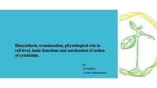Biosynthesis, translocation, physiological role in
cell level, basic functions and mechanism of action
of cytokinins.
BY
A P GOKUL
1 st Ph. D Horticulture
 