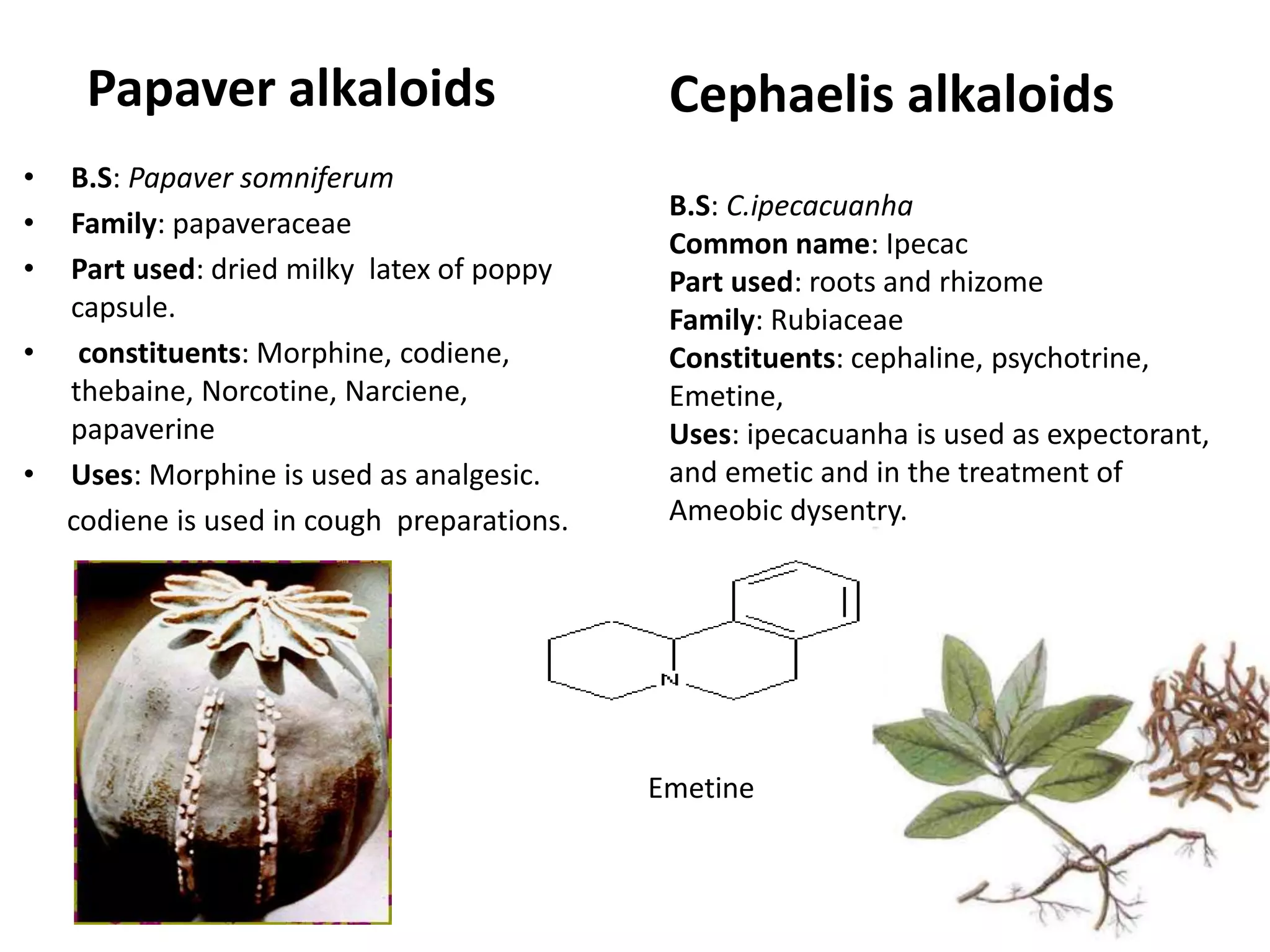 Papaver alkaloids 
• B.S: Papaver somniferum 
• Family: papaveraceae 
• Part used: dried milky latex of poppy 
capsule. 
• constituents: Morphine, codiene, 
thebaine, Norcotine, Narciene, 
papaverine 
• Uses: Morphine is used as analgesic. 
codiene is used in cough preparations. 
Cephaelis alkaloids 
B.S: C.ipecacuanha 
Common name: Ipecac 
Part used: roots and rhizome 
Family: Rubiaceae 
Constituents: cephaline, psychotrine, 
Emetine, 
Uses: ipecacuanha is used as expectorant, 
and emetic and in the treatment of 
Ameobic dysentry. 
Emetine 
 