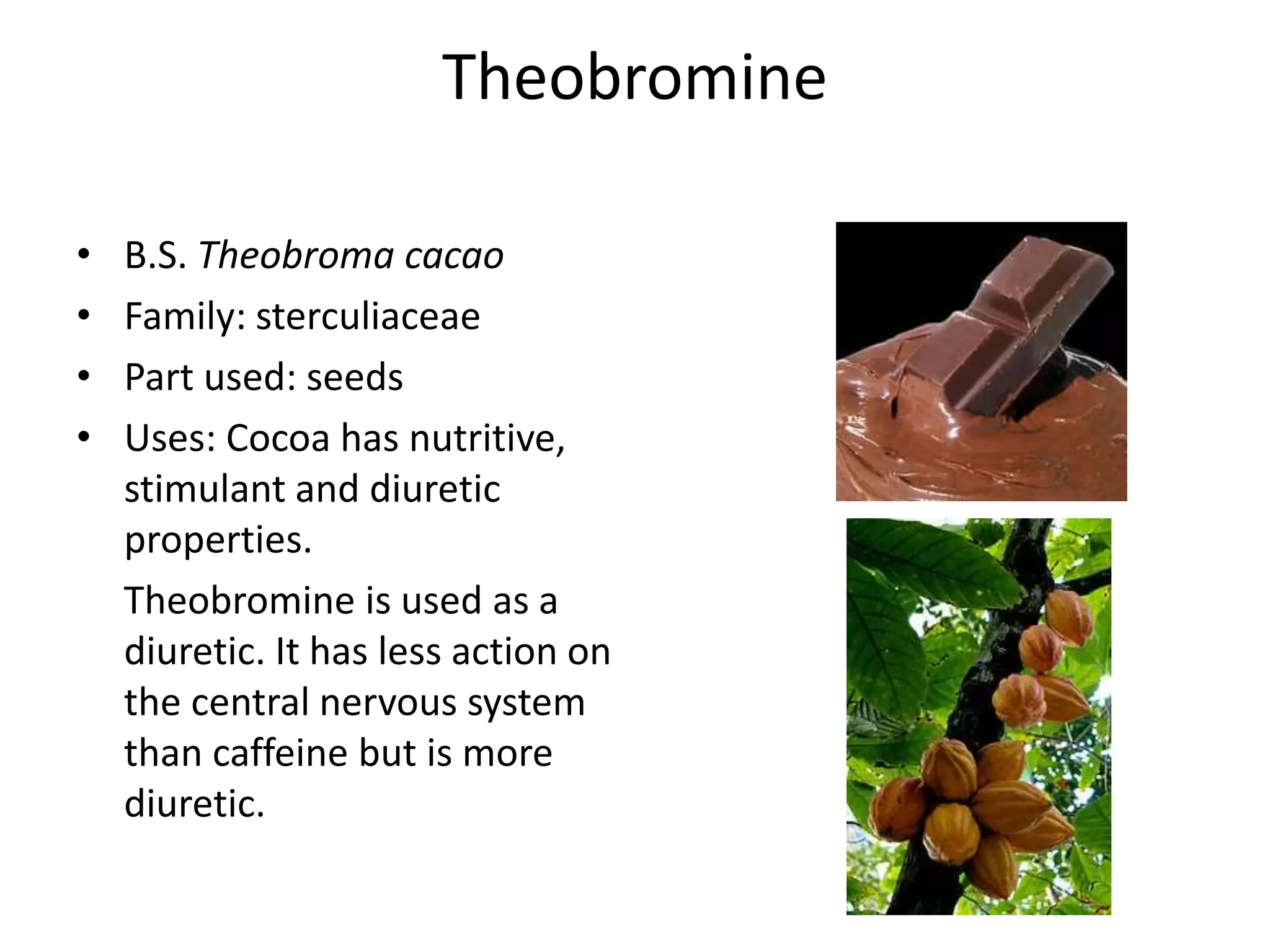 Theobromine 
• B.S. Theobroma cacao 
• Family: sterculiaceae 
• Part used: seeds 
• Uses: Cocoa has nutritive, 
stimulant and diuretic 
properties. 
Theobromine is used as a 
diuretic. It has less action on 
the central nervous system 
than caffeine but is more 
diuretic. 
 