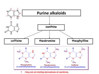 Purine alkaloids 
xanthine 
coffeine theobromine theophyilline 
 They are all methyl derivatives of xanthine. 
 