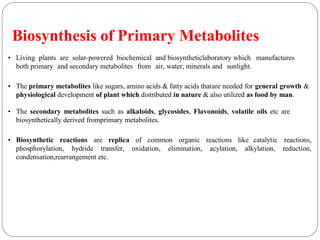 Biosynthesis of Primary Metabolites
• Living plants are solar-powered biochemical and biosyntheticlaboratory which manufactures
both primary and secondary metabolites from air, water, minerals and sunlight.
• The primary metabolites like sugars, amino acids & fatty acids thatare needed for general growth &
physiological development of plant which distributed in nature & also utilized as food by man.
• The secondary metabolites such as alkaloids, glycosides, Flavonoids, volatile oils etc are
biosynthetically derived fromprimary metabolites.
• Biosynthetic reactions are replica of common organic reactions like catalytic reactions,
phosphorylation, hydride transfer, oxidation, elimination, acylation, alkylation, reduction,
condensation,rearrangement etc.
 