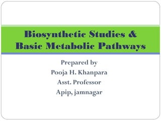 Prepared by
Pooja H. Khanpara
Asst. Professor
Apip, jamnagar
Biosynthetic Studies &
Basic Metabolic Pathways
 