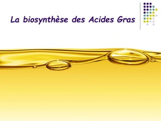 La biosynthèse des Acides Gras
 