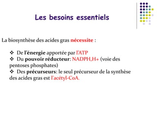 Biosynthèse des Acides Gras PPT