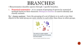  Biosystematics classifies species through 3 specific branches.
1. Numerical systematics:- it is a system of grouping of species by numerical
methods based on their character. Biological statistics is used to identify and
classify animals.
Eg :- cluster analysis :- here the grouping of a set of objects is in such a way that
objects in the same group are more similar to each other than those in other groups.
https://en.wikipedia.org/wiki/Cluster_analysis
 