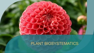 PLANT BIOSYSTEMATICS
 